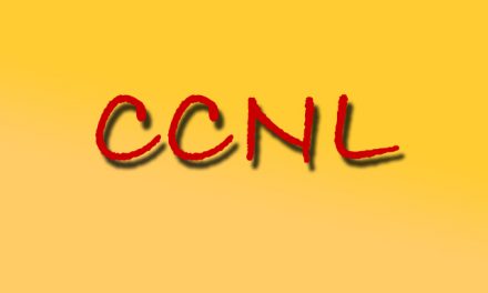 CCNL – Parte Assocontrol –