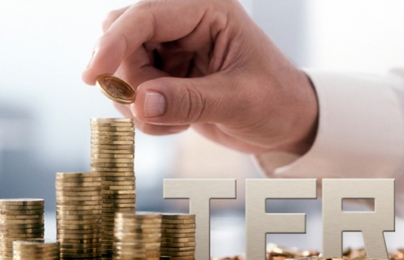 IMPORTANTE INFORMATIVA INPS-TFR MATURATO IN CIGS